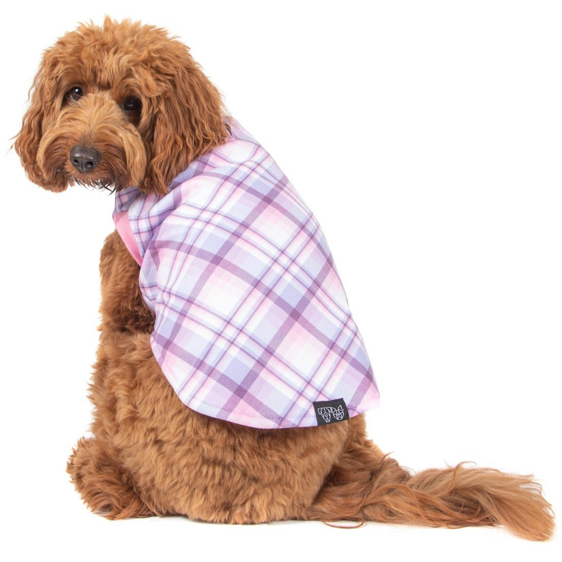 DOG FLEECE PYJAMAS: Purple and Pink Plaid {FINAL SALE}