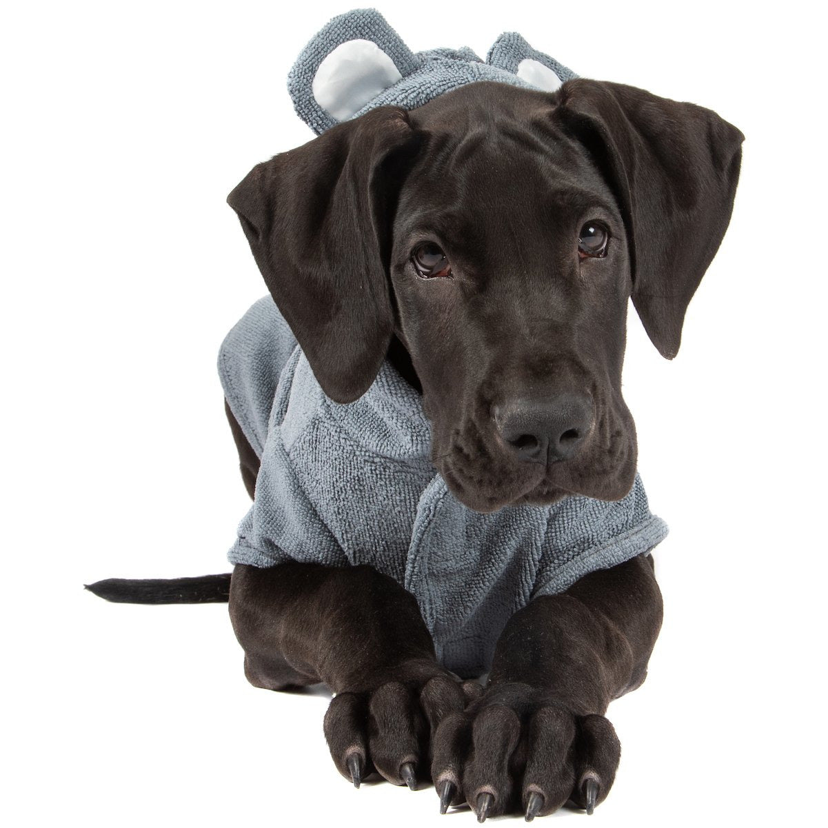 DOG BATH ROBE: Charcoal {FINAL SALE}