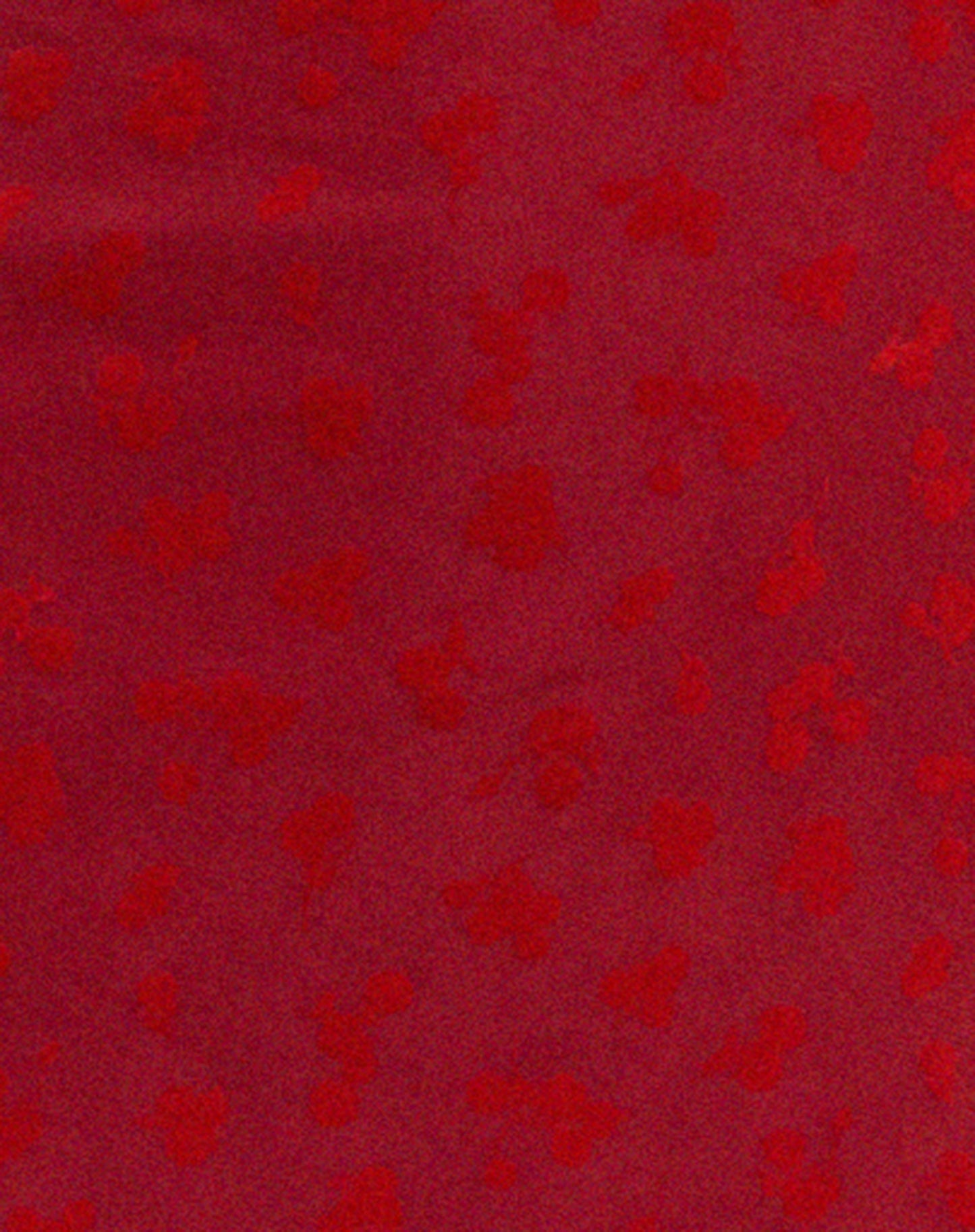 Kalana Midi Dress in Red Flock Mesh