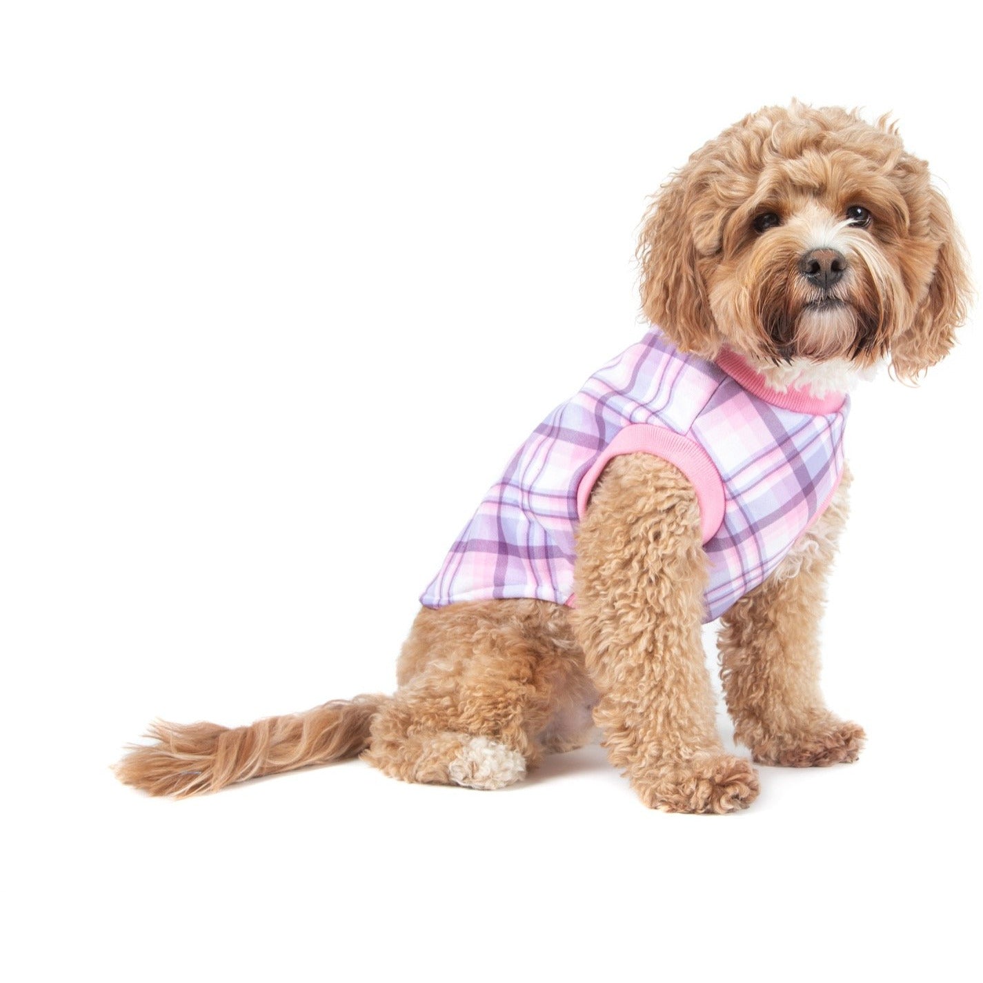 DOG FLEECE PYJAMAS: Purple and Pink Plaid {FINAL SALE}