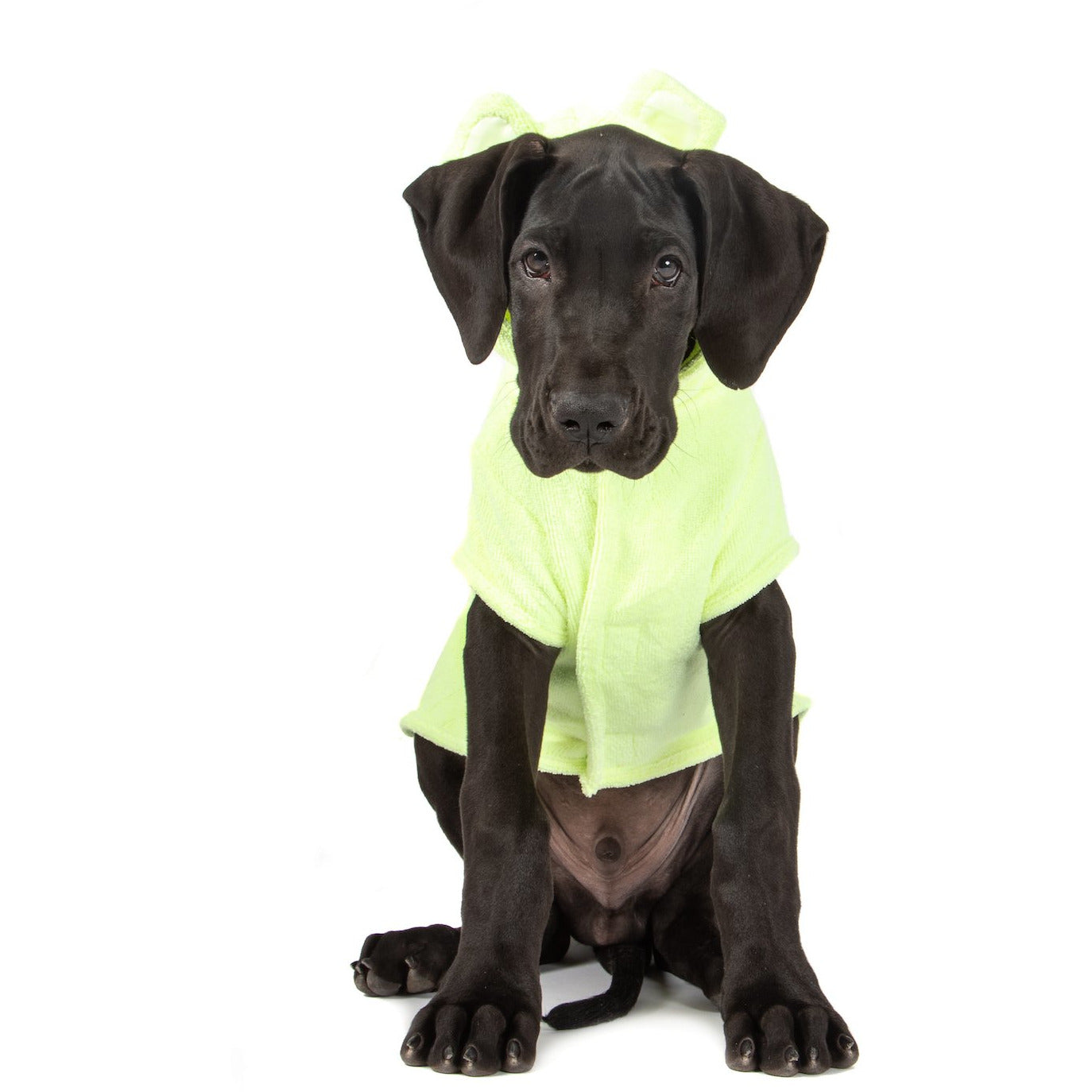 DOG BATH ROBE: Lime {FINAL SALE}