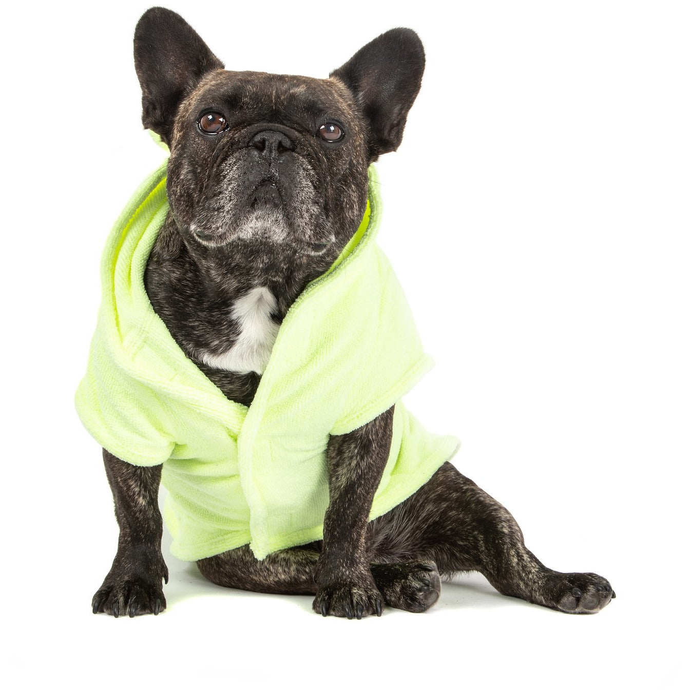 DOG BATH ROBE: Lime {FINAL SALE}
