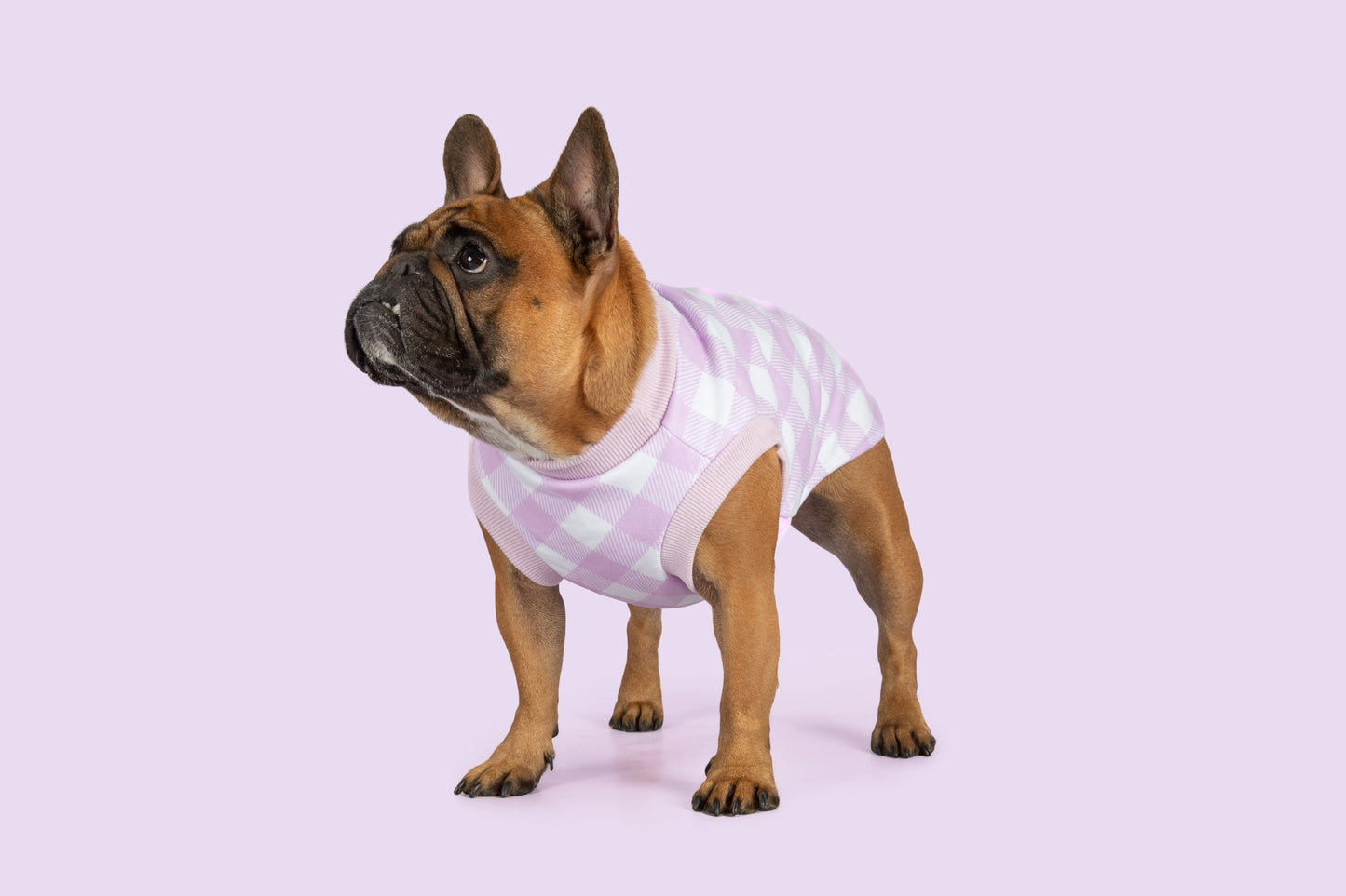 DOG FLEECE PYJAMAS: Berry Gingham
