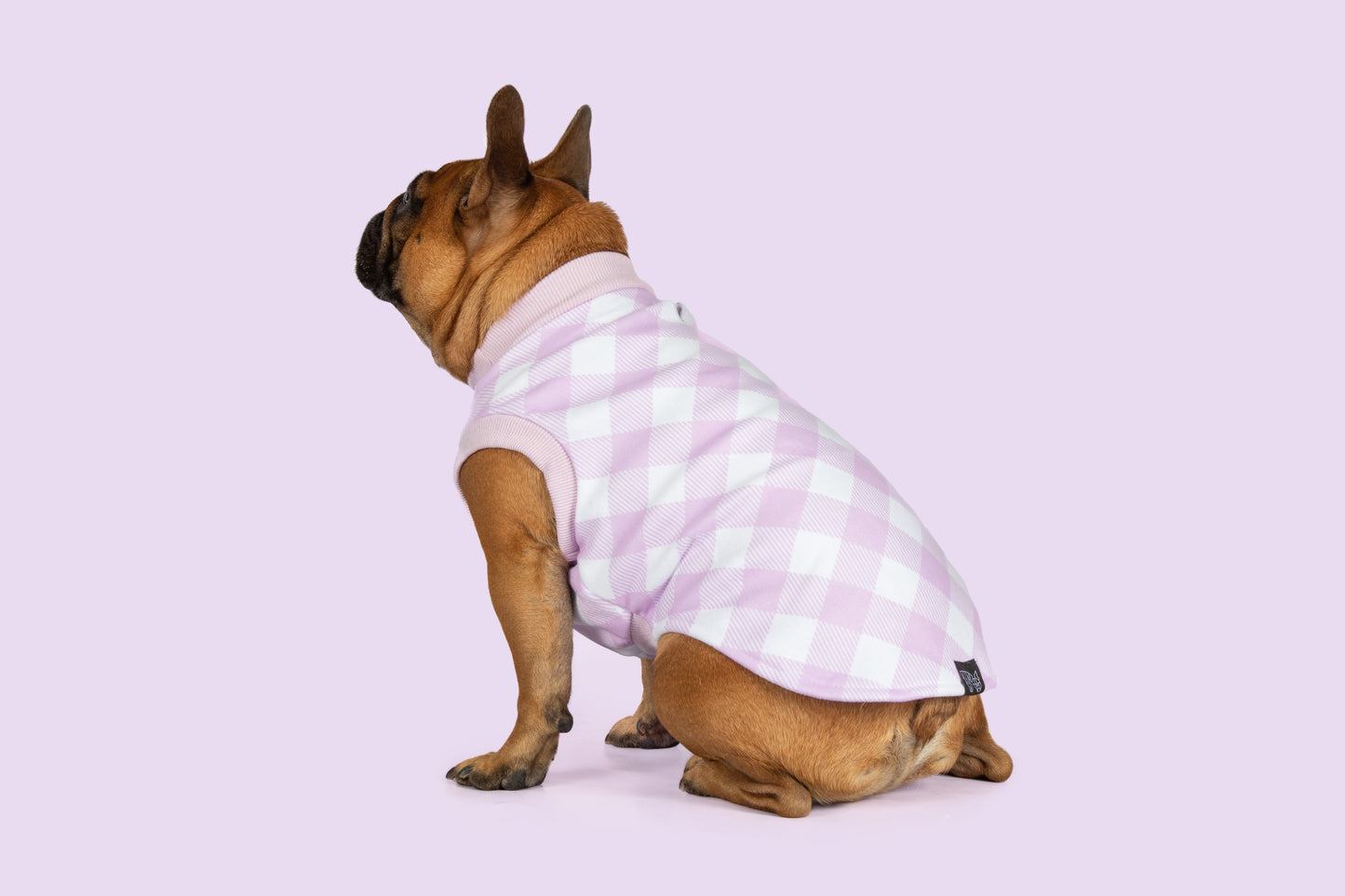 DOG FLEECE PYJAMAS: Berry Gingham