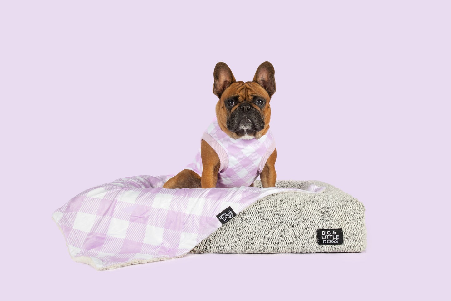 DOG FLEECE PYJAMAS: Berry Gingham