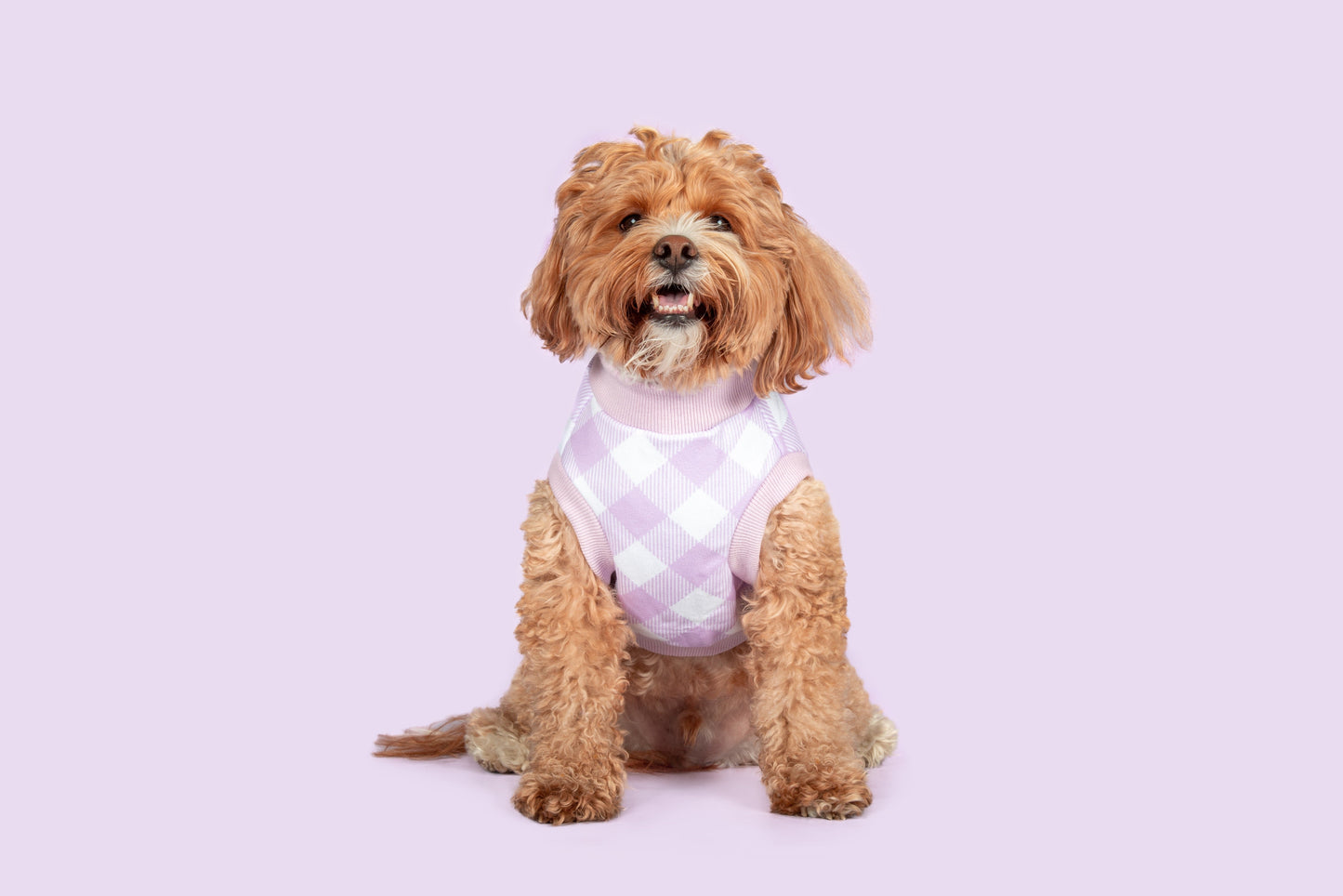 DOG FLEECE PYJAMAS: Berry Gingham