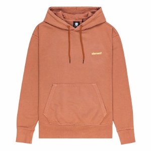 Cornell 3.0 Hoodie SP22