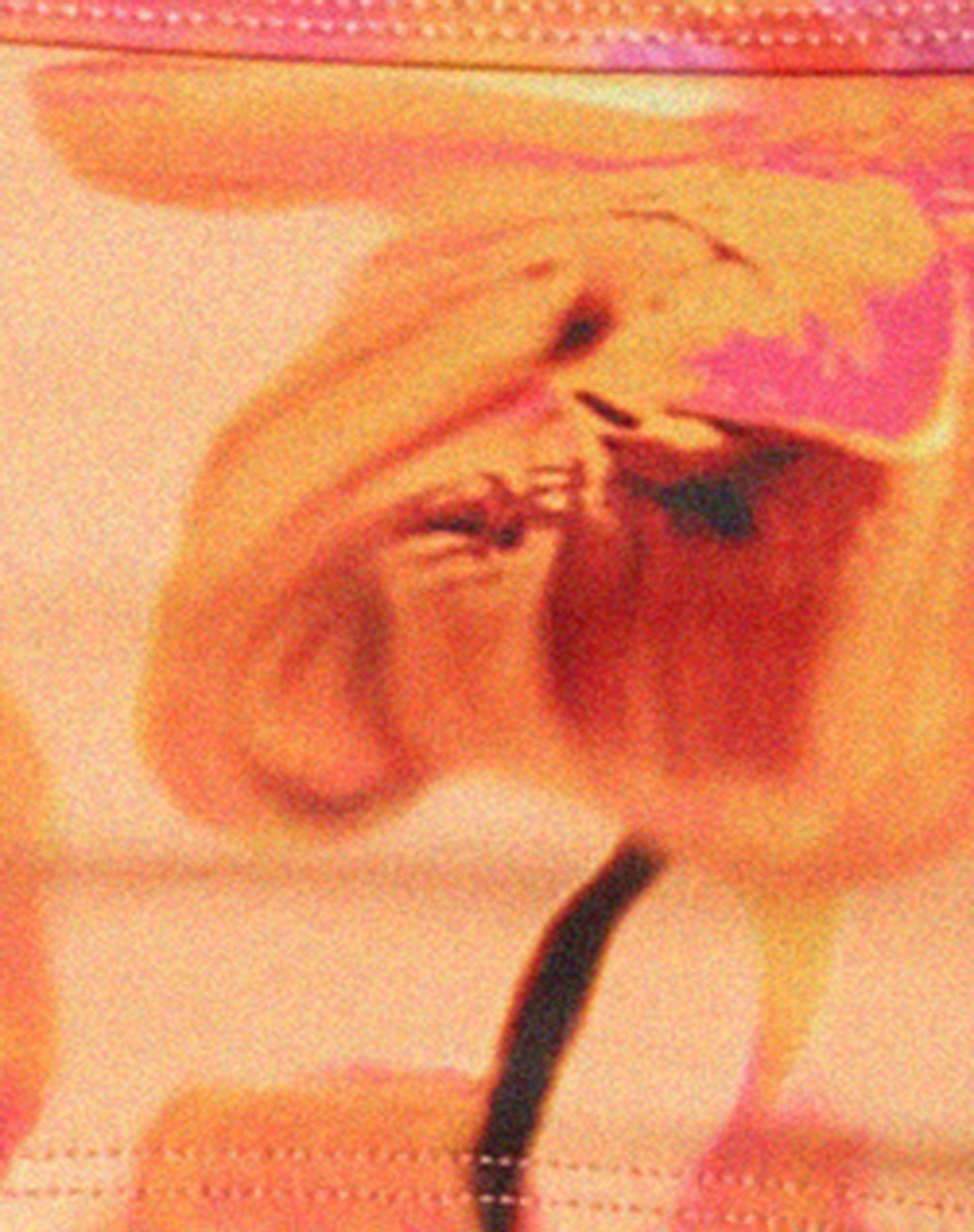 Pami Bikini Top in Blurred Orchid Peach