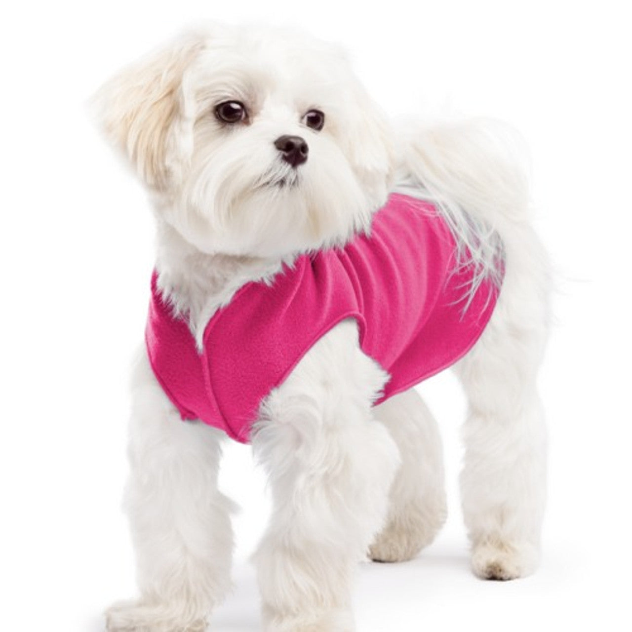 Goldpaw: DOG STRETCH FLEECE | Fuchsia (NEW!)