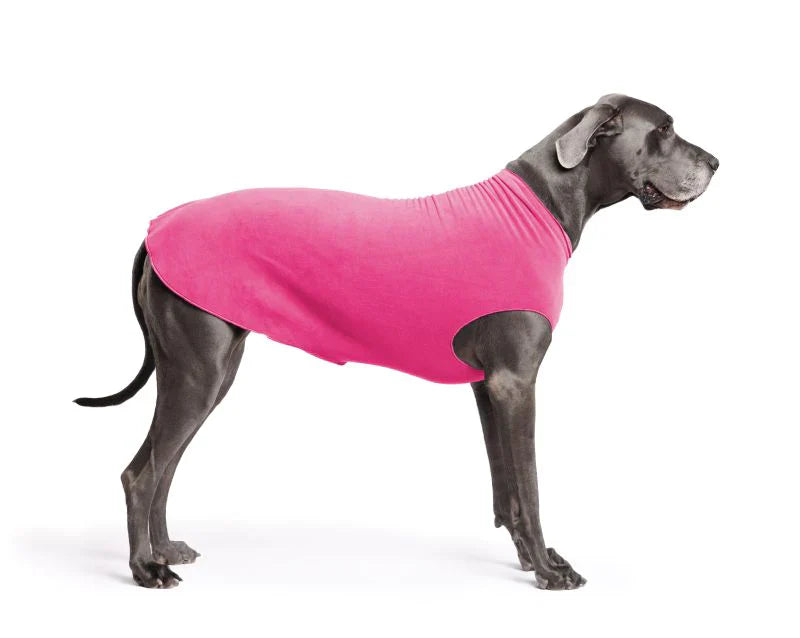 Goldpaw: DOG STRETCH FLEECE | Fuchsia (NEW!)