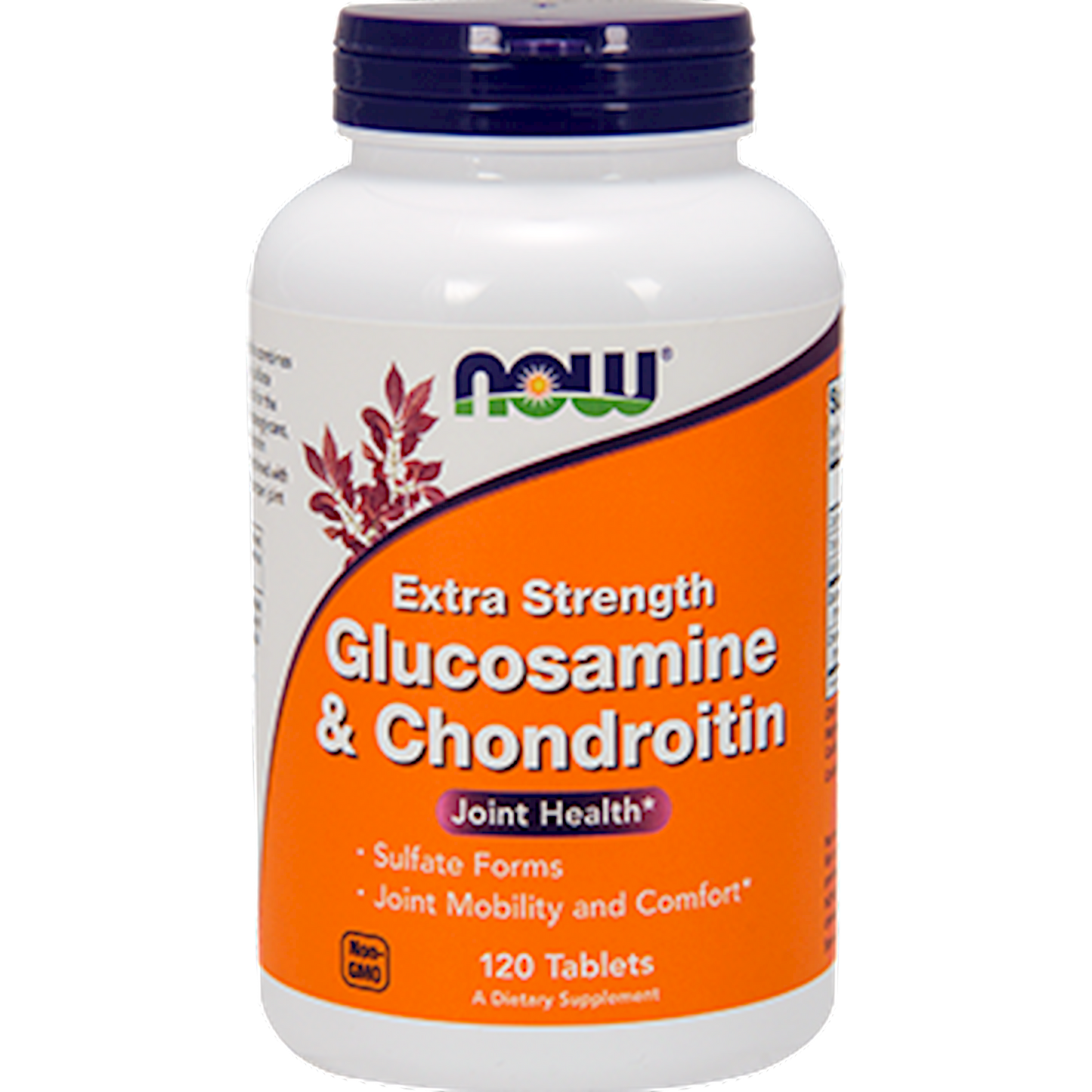 Glucosamine & Chond. Ex Str